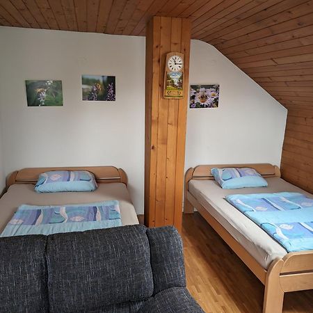 Apartment Bee Near Bled Zabreznica المظهر الخارجي الصورة